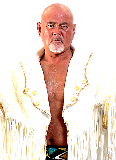 IWGP HEAVYWEIGHT | 歴代チャンピオンクラス | 新日本プロレスリング