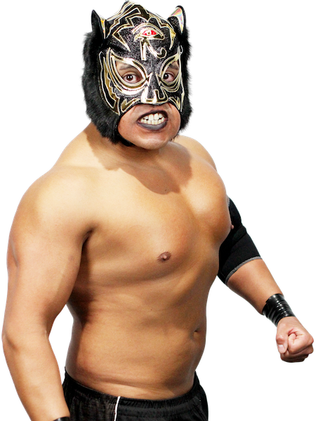 IWGP Jr. HEAVYWEIGHT | 歴代チャンピオンクラス | 新日本プロレス