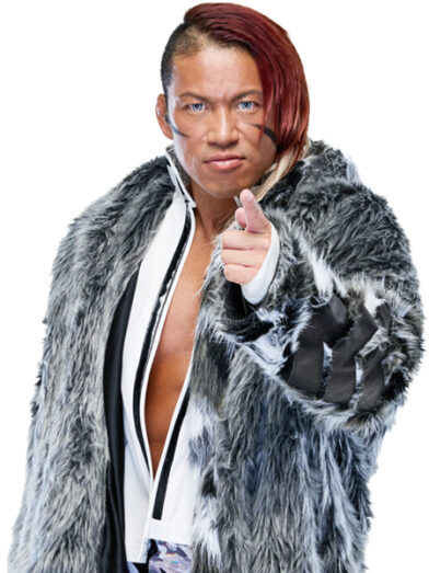 ミクチャpresents THE NEW BEGINNING in OSAKA | 新日本プロレスリング