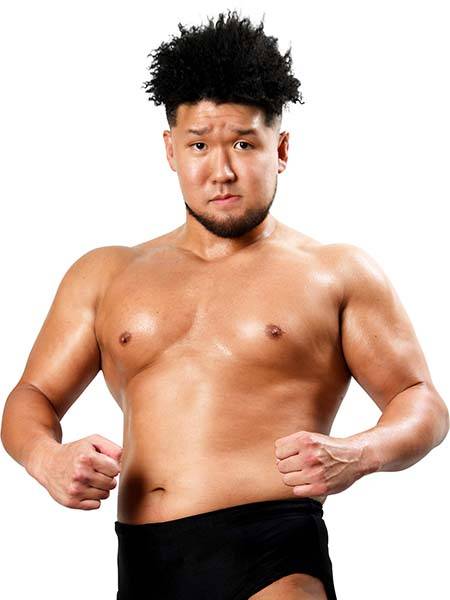 新日本プロレス 激闘録Ⅱ-212x300.jpg