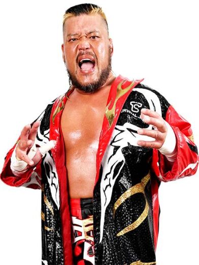 NEW JAPAN ROAD in ANJO | 新日本プロレスリング株式会社