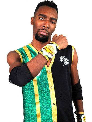 チーズ！ 2017年9〜11・2018年1・4、2019年5・6・8・11月号他 ブシモ 5th ANNIVERSARY WRESTLE KINGDOM 12 in 東京ドーム | 新日本