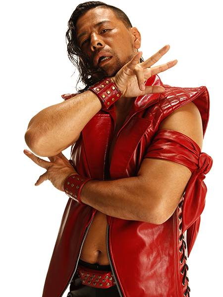 IWGP TAG TEAM | 歴代チャンピオンクラス | 新日本プロレス