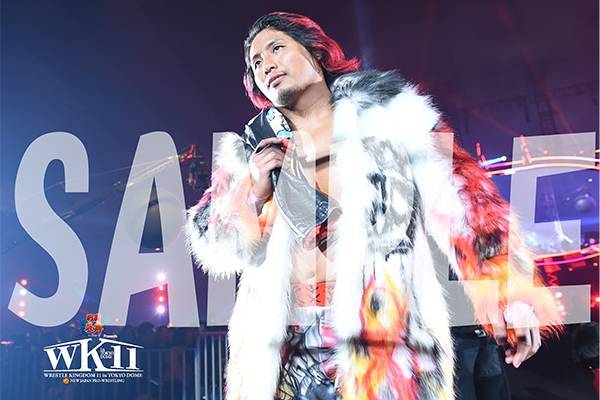 ポストカード】新日本プロレス 14枚セット＋撮り下ろし生写真