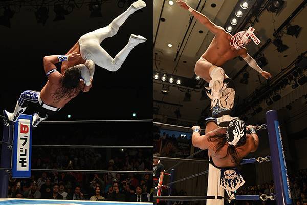 新日本プロレスリング株式会社