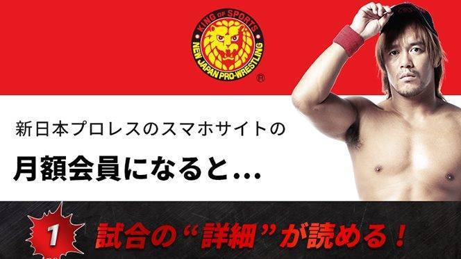 日本 プロレス 日程 新 試合