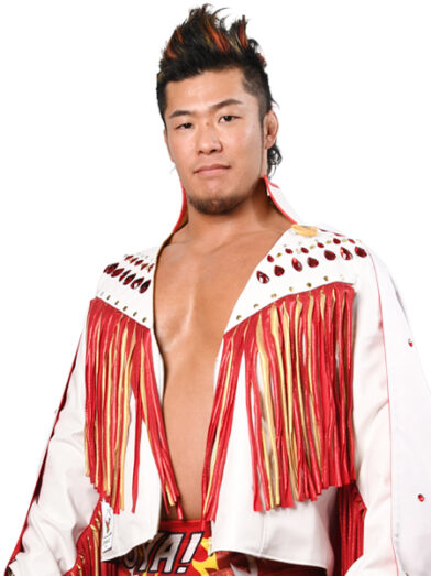 新日本プロレス  ８点セット 値下げ！プロレス大図鑑セット - メルカリ