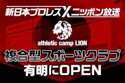アスレチックキャンプライオン
