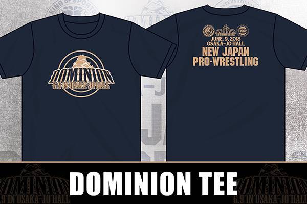 6月9日（土）大阪城大会から発売!! 『DOMINIONパンフレット