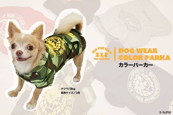 1031njpw-dog-1_re.jpg