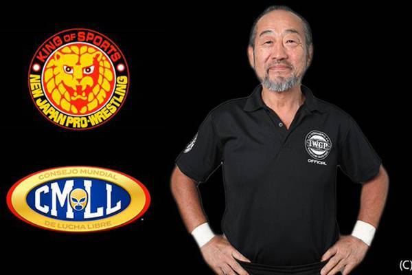 激レア　希少　新日本プロレス ストロングスタイルリング タイガー服部付 新日本プロレス ストロングスタイル プロレス フィギュアリング