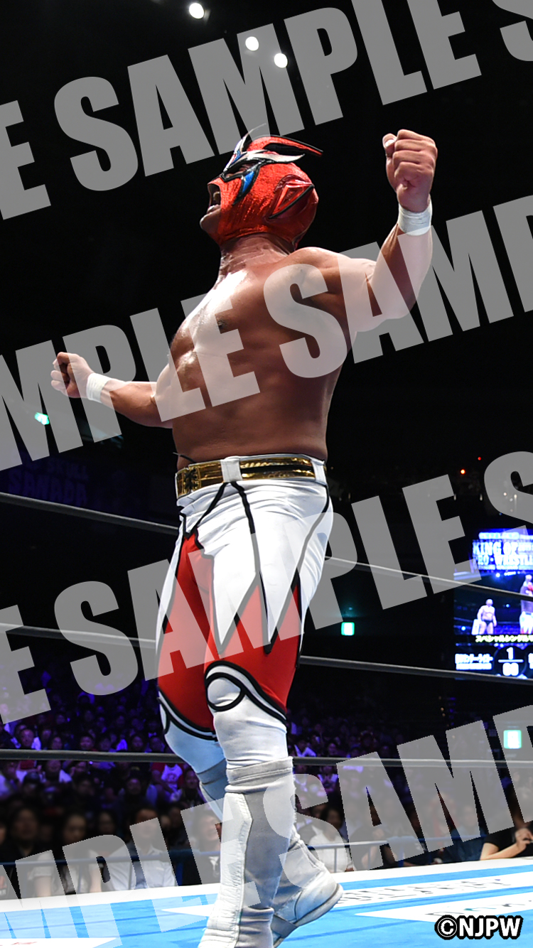 獣神サンダー・ライガー | WALL PAPER | 新日本プロレスリング