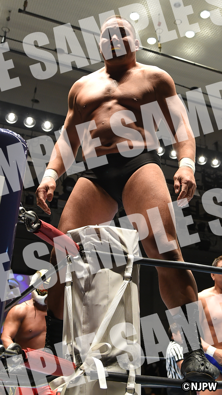 ボブ・サップ 中西学 プロレスフィギュアセットボブ・サップ 中西学
