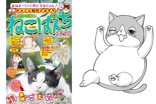 なんと 高橋ヒロム選手の愛猫 ナオル が漫画化決定 新日本プロレスリング