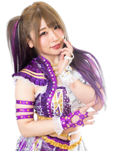 NEW JAPAN ROAD in ANJO | 新日本プロレスリング株式会社