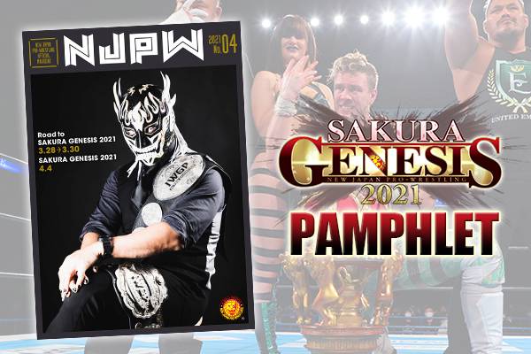 新日本プロレス パンフレット 16冊 バラ売り可(R7.6月末に処分します) 新日本プロレスリング株式会社 on X: 