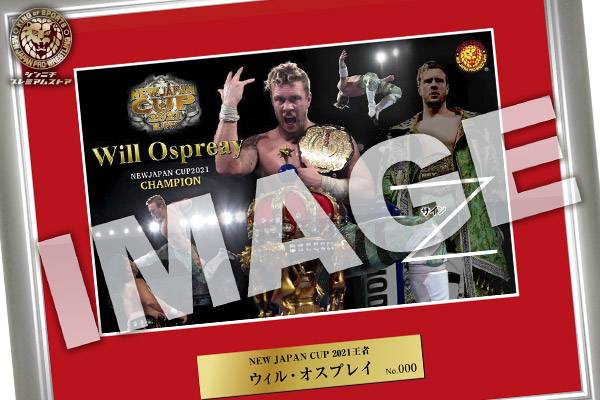 天皇杯優勝記念 フォトフレーム ヴァンフォーレ甲府グッズ【公式】 on X: 