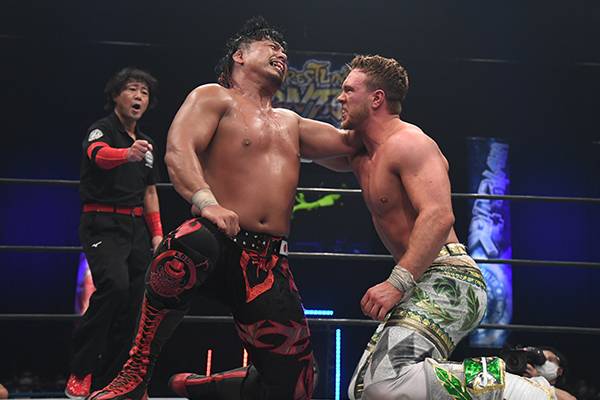 レスリングどんたく　法被　フリーサイズ/新日本プロレス JR HAKATA CITY Presents レスリングどんたく 2024 | 新日本