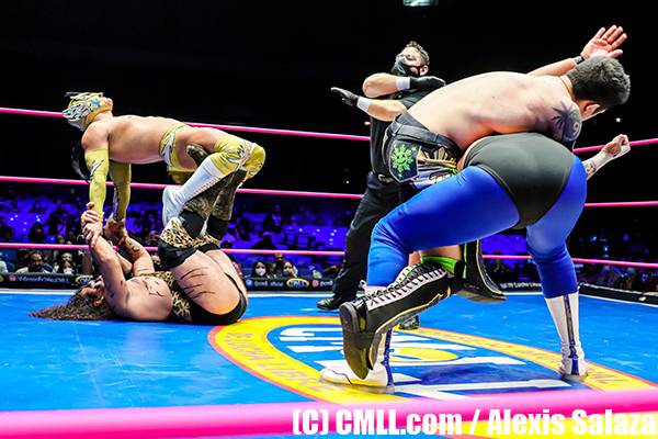 J19-054 週間プロレスNO.1672 2013年3月6日号 - 格闘技、プロレス