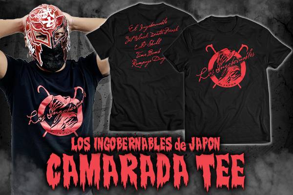 激レア入手困難‼️ ストロングスタイル プロレス・リング 新日本