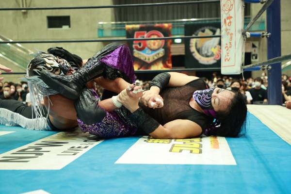 プロ格ヒーローズ46体 新日本プロレスリングセット 齧っ