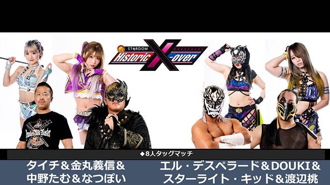爆買い送料無料 新日本プロレス×スターダムカードコレクション タイチ