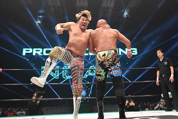 武藤敬司VSえべ藤さん2体パック　渕の印籠付き 武藤敬司VSえべ藤さん2体パック 渕の印籠付き 武藤敬司