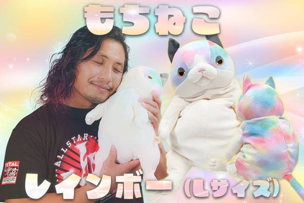 4.8両国でも特別販売！】通販&水道橋店で『もちねこ レインボー（L