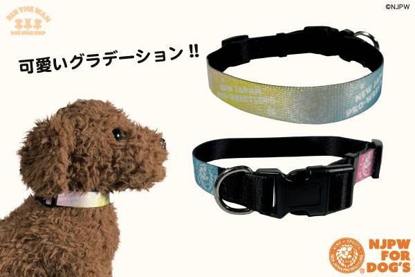 闘魂SHOP通販サイトの“ドッグアイテム”に「首輪」と「リード」が新登場