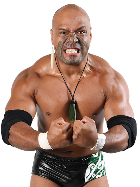 NEVER OPENWEIGHT | 歴代チャンピオンクラス | 新日本プロレスリング