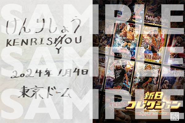 DESTRUCTION 特設サイト | 新日本プロレスリング株式会社