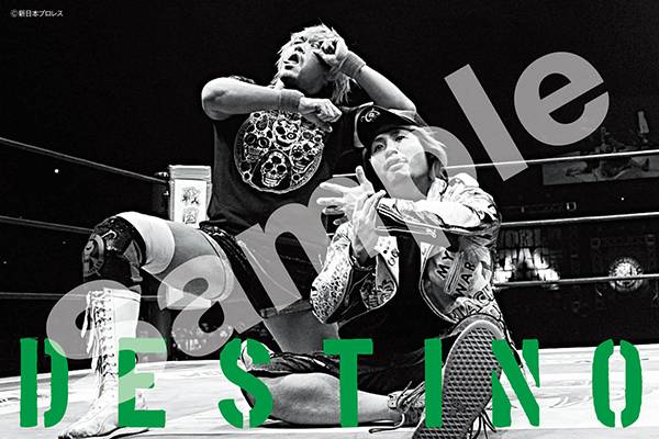 希少品　新日本プロレス　内藤哲也　高橋ヒロム　ポストカード