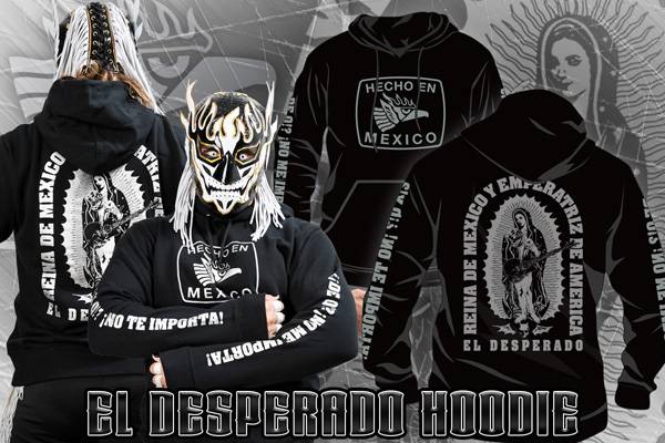 2024年 新シリーズ開幕！TMDK、デスペラード、石井、ライオンマークの