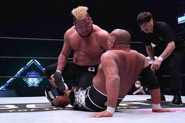 プロレス消しゴム　必殺技シリーズ　6体 プロレス消しゴム 必殺技シリーズ 6体 プロレス消しゴム 必殺技