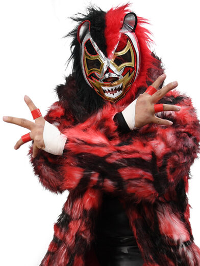 NJPW PRESENTS CMLL FANTASTICA MANIA 2025 | 新日本プロレス