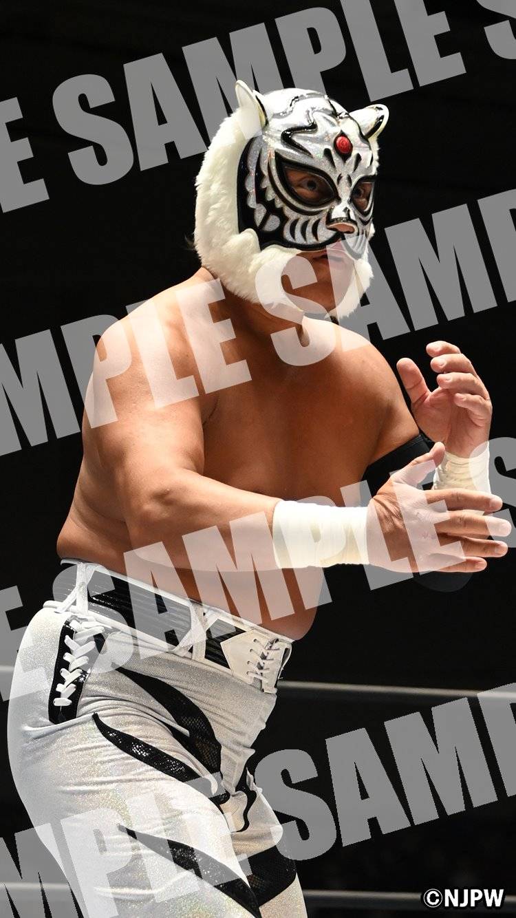 プロレス レコード タイガーマスク 23枚 rd0329-14 伝わら