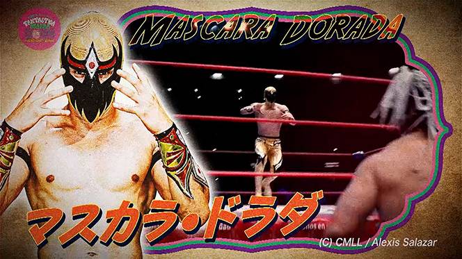 本人使用分 新日本プロレス マスク 盛り ミスティコ