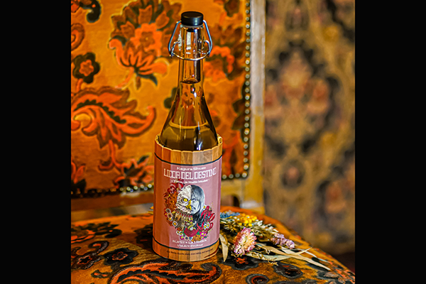 【新品】LICOR DEL DESTINO 内藤哲也 本格焼酎 新商品発売も決定！】2024年度も株式会社シーズ・ライブとコラボ