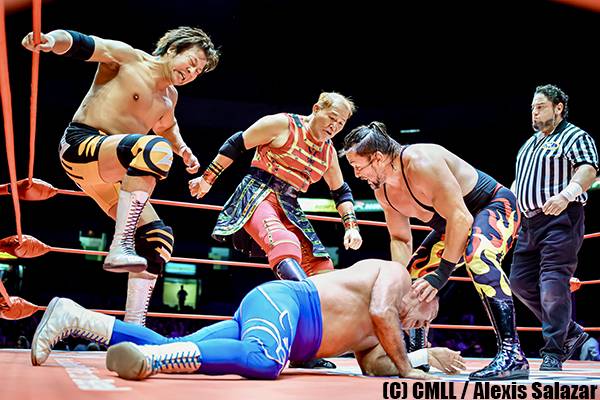 Amazon.co.jp: ハオコレクション THE 33th TRIPLE CROWN