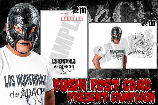 BUSHI 直筆サイン色紙 | プロレスショップチャンピオン