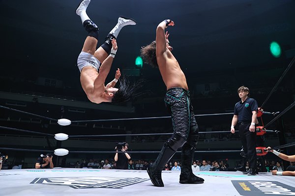 EHRIE JERICHO Leaf カットシグネチャー WWE 新日本プロレス