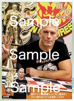 新日本プロレス　コレクション シンニチプレミアム
