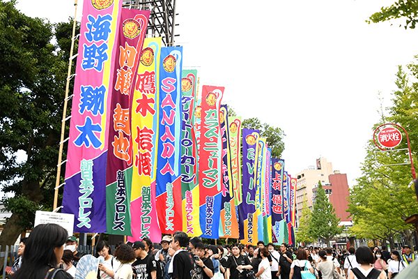 新品ケース交換済み　プロレスリングＷＡＶＥ タッグリーグ戦 ２０１２ ＆ ２０１ 新日本】ゲイブ＆SANADAが毘沙門を撃破し堂々の『WTL』Aブロック