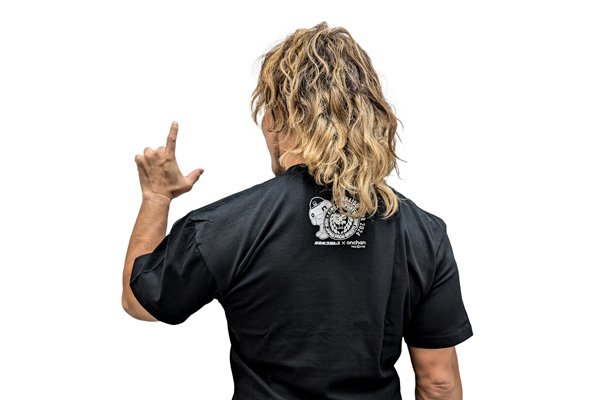 プロ格ヒーローズ46体　新日本プロレスリングセット 41ryWhtva4L.jpg_BO30,255,255,
