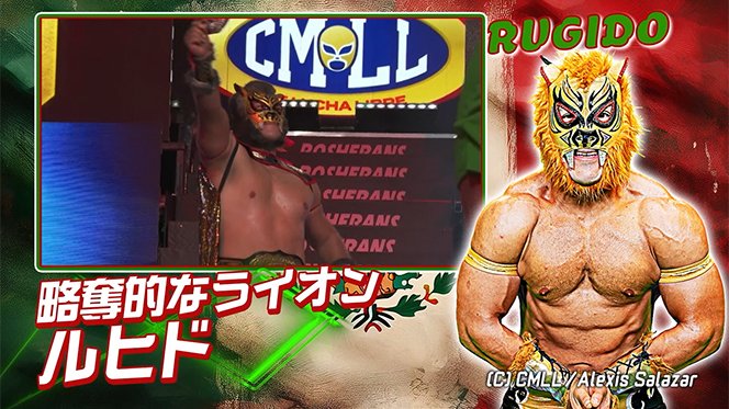 来年2月『CMLL FANTASTICA MANIA』の参戦メンバーが決定！なんと