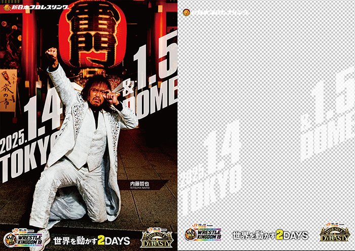 新日本プロレス INDICATE OF NEXT VOL.2 東京ドーム DVD