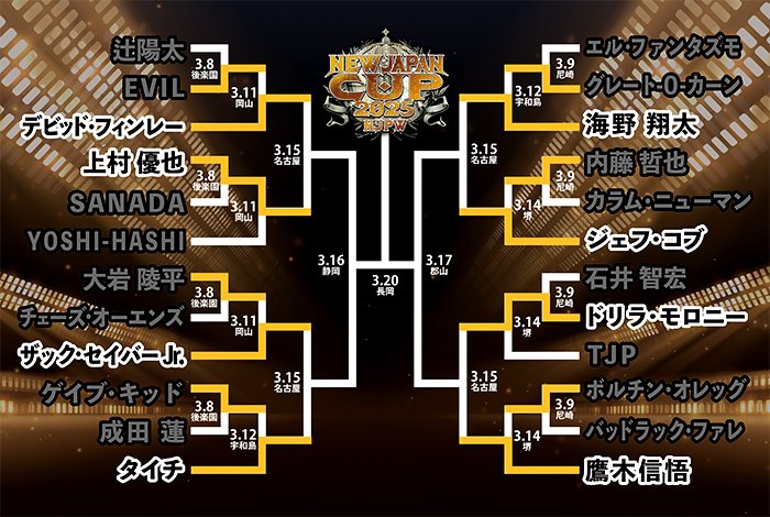 新日本プロレス IWGP 94年 新日本プロレス】IWGP世界ヘビー級選手権