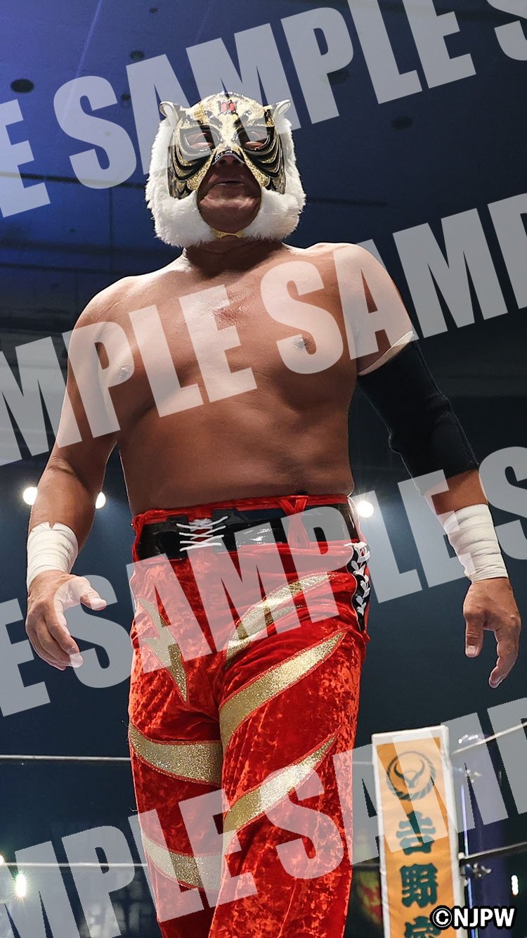 プロレスレコード 25枚セット re0209-40 タイガーマスク プロレスレコード 25枚セット re0209-40 タイガーマスク その他