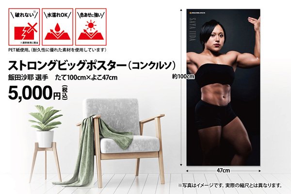 国際プロレス クロニクル 下巻