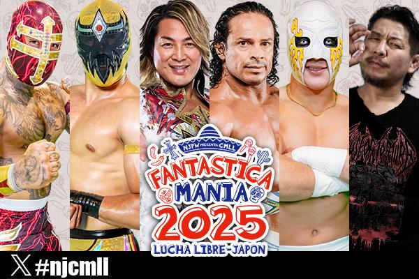 TFC ファイティングボックスコレクション 新日本プロレスリング